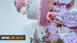 حضور حجت الاسلام المسلمین جناب آقای دکتر مبشری معاون فرهنگی و اجتماعی دانشگاه فرهنگیان به مناسبت روز دختر 6