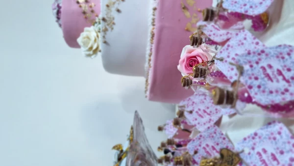 حضور حجت الاسلام المسلمین جناب آقای دکتر مبشری معاون فرهنگی و اجتماعی دانشگاه فرهنگیان به مناسبت روز دختر 6