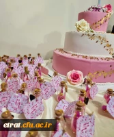 حضور حجت الاسلام المسلمین جناب آقای دکتر مبشری معاون فرهنگی و اجتماعی دانشگاه فرهنگیان به مناسبت روز دختر 7