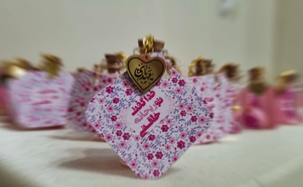 حضور حجت الاسلام المسلمین جناب آقای دکتر مبشری معاون فرهنگی و اجتماعی دانشگاه فرهنگیان به مناسبت روز دختر 8