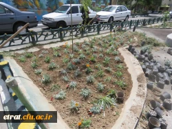 روز محیط زیست    6