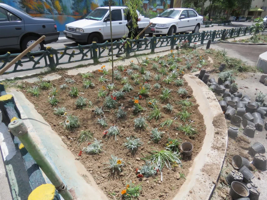 روز محیط زیست    6