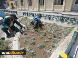 روز محیط زیست    7