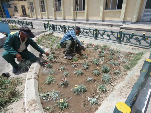 روز محیط زیست    7