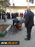 آیین استقبال از نو دانشجو معلمان وردی 1402 5