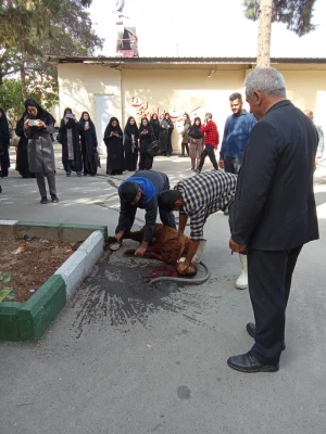 آیین استقبال از نو دانشجو معلمان وردی 1402 5