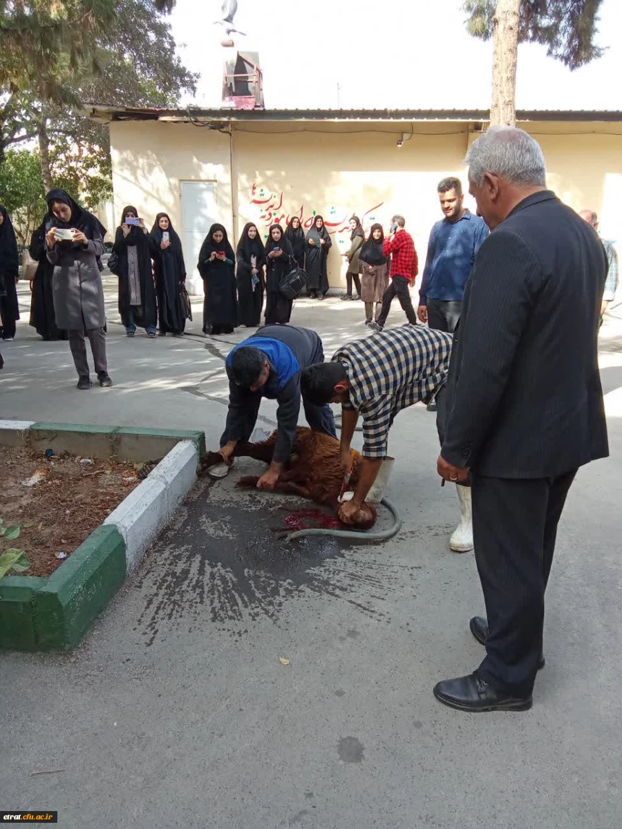 آیین استقبال از نو دانشجو معلمان وردی 1402 5