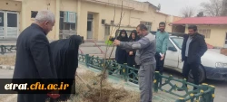 برگزاری روز درختکاری و کاشت نهال در محوطه فضای سبز 5
