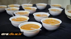 برگزاری مراسم هفتگی سوگواری حضرت فاطمه زهرا سلام الله علیها  5